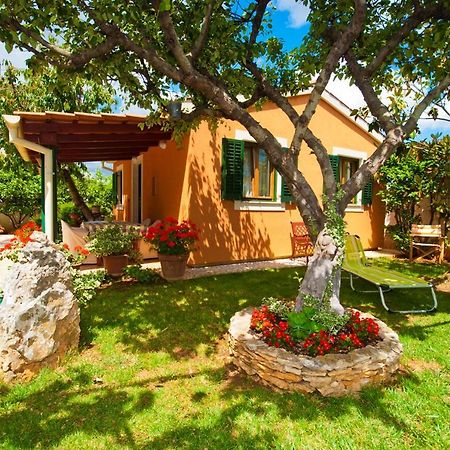 Guest House Bizjak Vinkuran Bagian luar foto