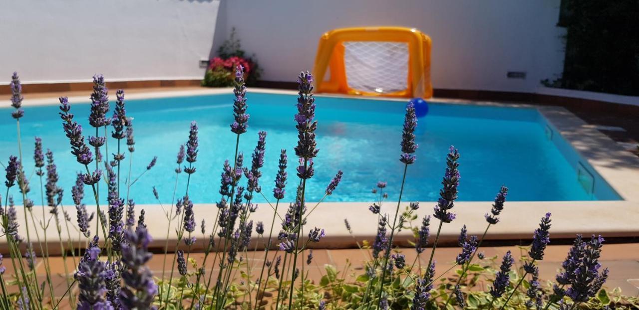 Guest House Bizjak Vinkuran Bagian luar foto
