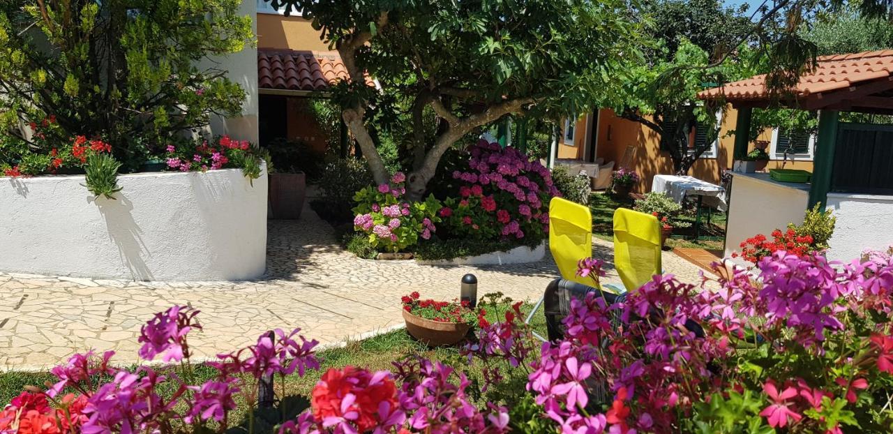 Guest House Bizjak Vinkuran Bagian luar foto