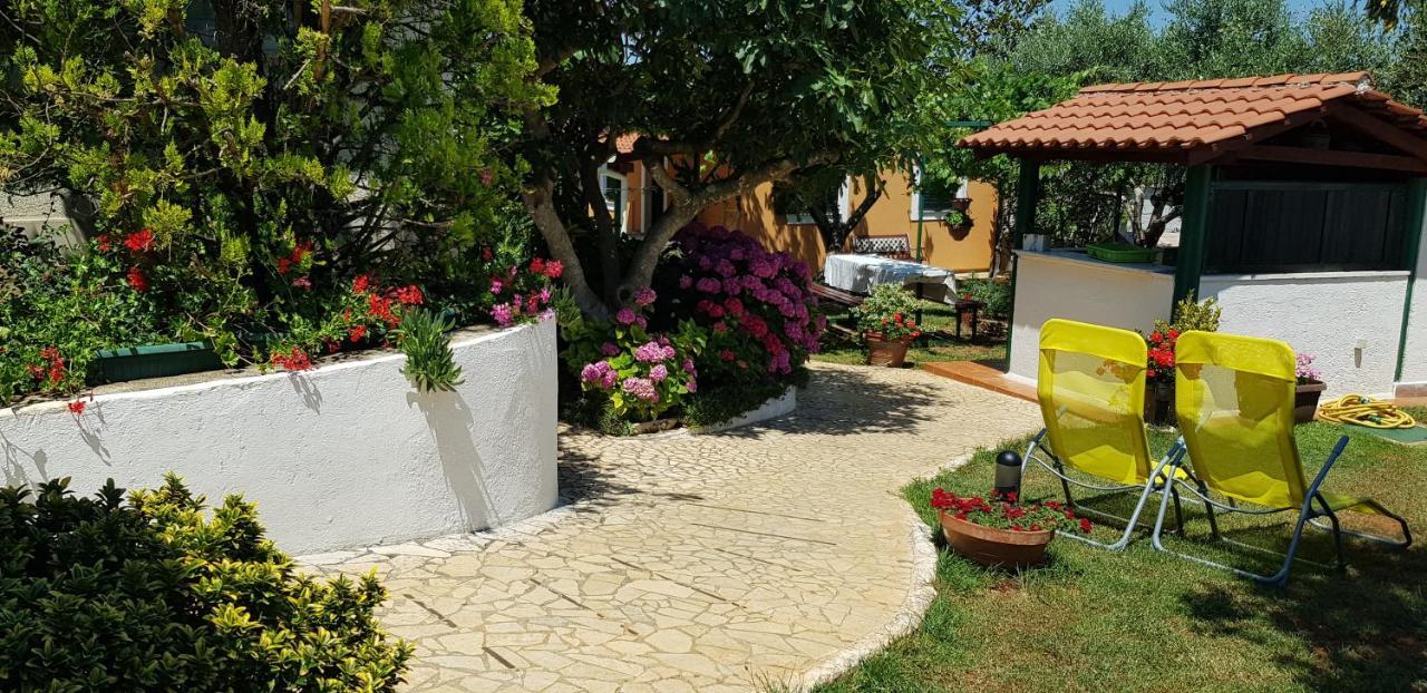 Guest House Bizjak Vinkuran Bagian luar foto