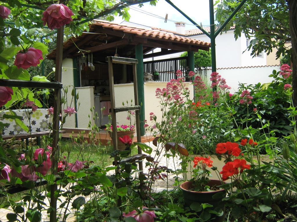 Guest House Bizjak Vinkuran Bagian luar foto